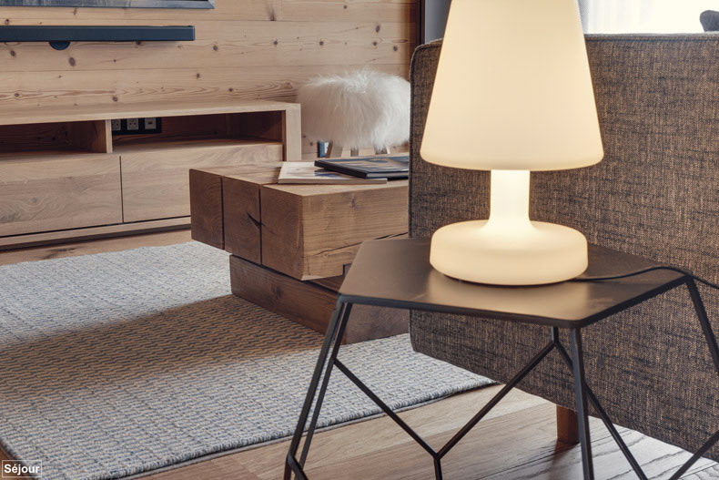 appartement snega 02, le salon