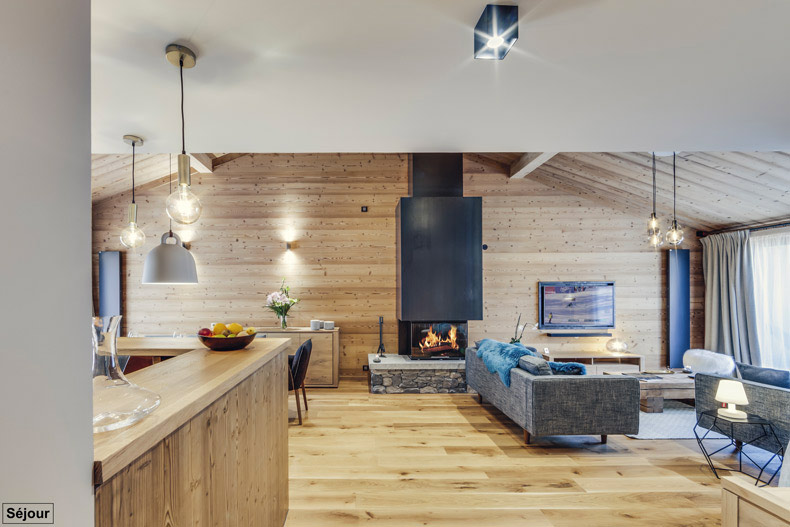 appartement snega 02, le salon avec vue sur la cheminée